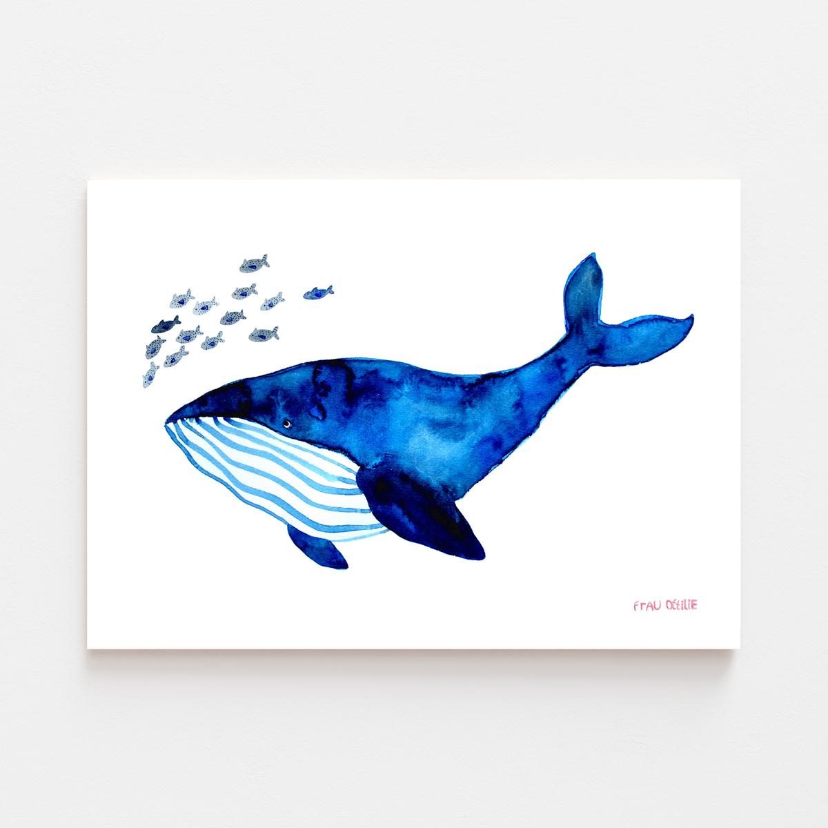 Print A3 *Wal* (Blauwal)