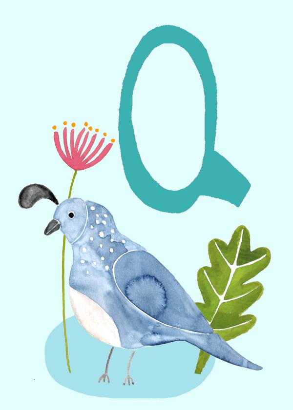 ABC Karte "Q for Quail“ (Tier ABC)
